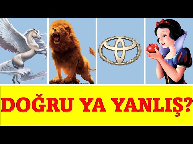 Doğru ya Yanlış? Ümumi Biliklər üzrə Test