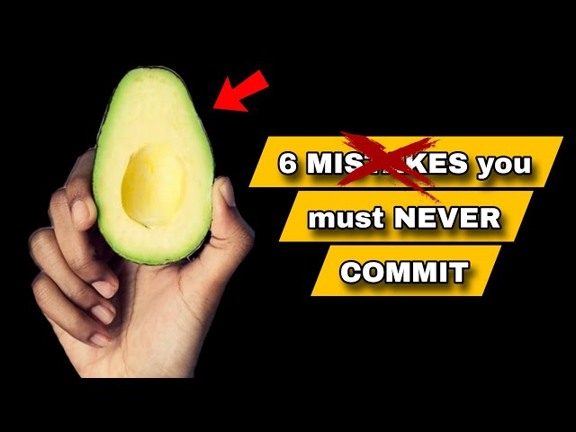 6 MISTAKES you must NEVER COMMIT while eating avocado