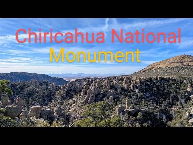 Cacti-Christmas: Chiricahua National Monument