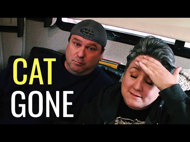 The Big Boy is Gone! How I lost my RV CAT 😢😢😢 Spoiler Alert: We Found Him! You'll never believe...