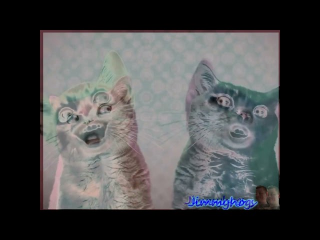 Preview 2 Numa Cat effects 3 Combined