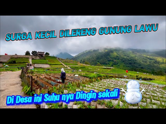 DESA TERNYAMAN DI LERENG GUNUNG LAWU‼️