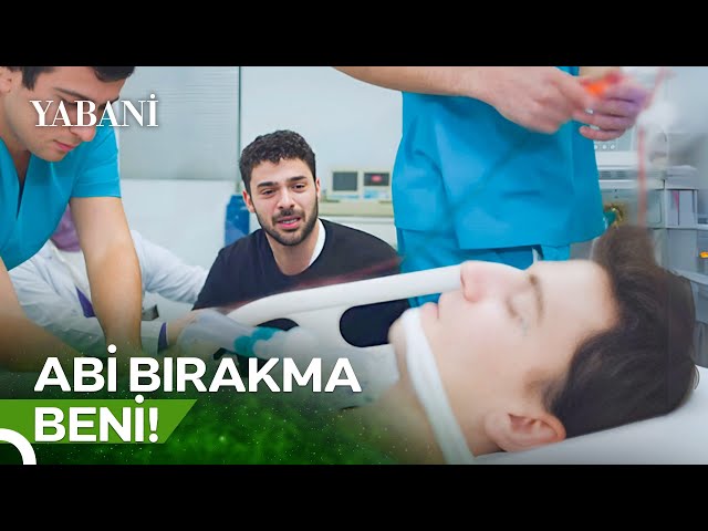 Yaman Gözlerini Açtığı Gibi Alaz'ın Yanına Geldi | Yabani 48. Bölüm