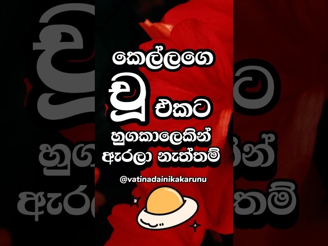 ඔයා නම් දන්නැතුව ඇති මේ ගැන 😍 #shorts #education #facts