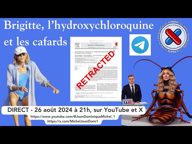 Brigitte, l'hydroxychloroquine, Telegram et les cafards...