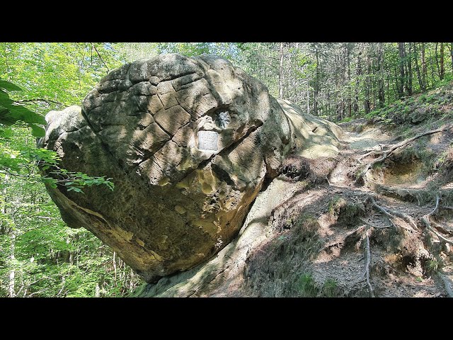 10 Trails Hermannskogel - Exelberg - Hängender Stein