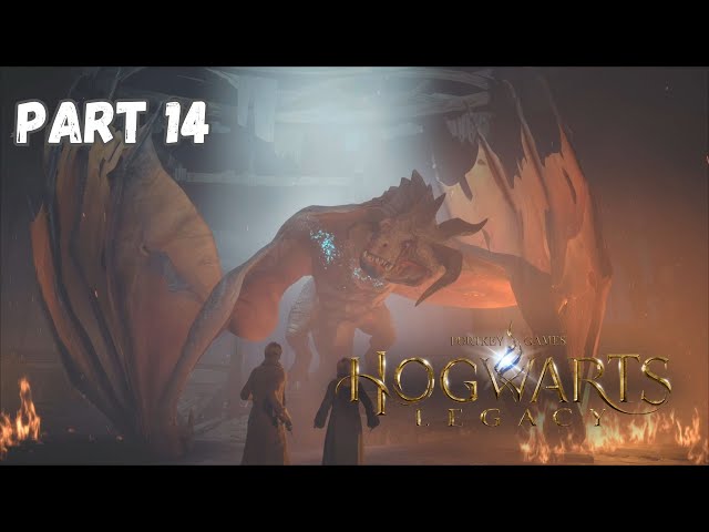 Here Comes the Dragon - Hogwarts Legacy Walkthrough Part 14 PS5