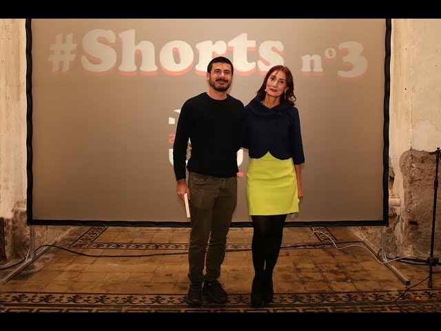 l'artista Giusy Mintendi a shorts N 3 veste il ruolo  intervistatrice