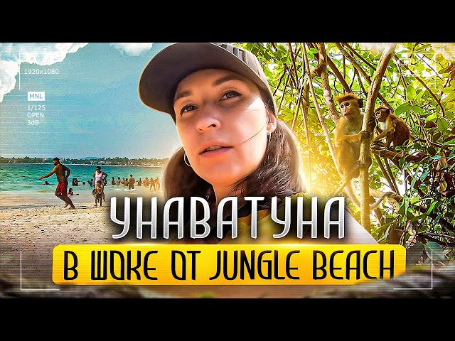 Шри-Ланка. Унаватуна. В шоке от пляжа Джангл Бич (Jungle Beach)