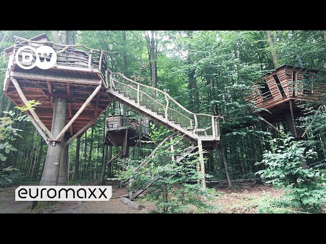 360° Treehouse Full Tour | Living In a Treehouse | Euromaxx Open House