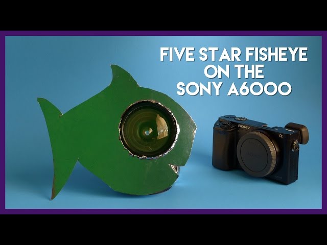 Five Star Fisheye Lens Adapted to the Sony A6000