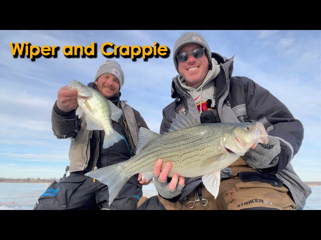 Ice Fishing | Wiper and Crappie Smackdown on an Iowa Lake