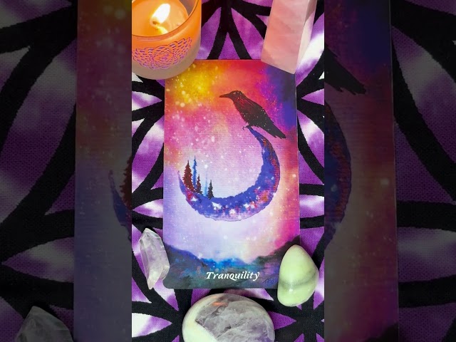 Daily Healing Tarot: Protecting Your Energy is Key to Maintaining Inner Peace #innerpeace #tarot