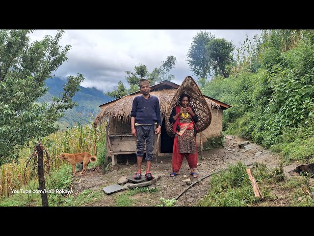 Most Peacefull And Relaxing Nepali Mountain Village Life | Village People Documentary|Honey Hunting|