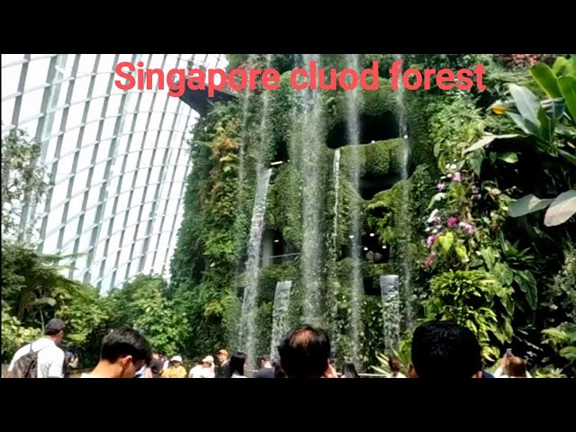 new Singapore Marina bay cloud forrest walking tour @cloudforrest