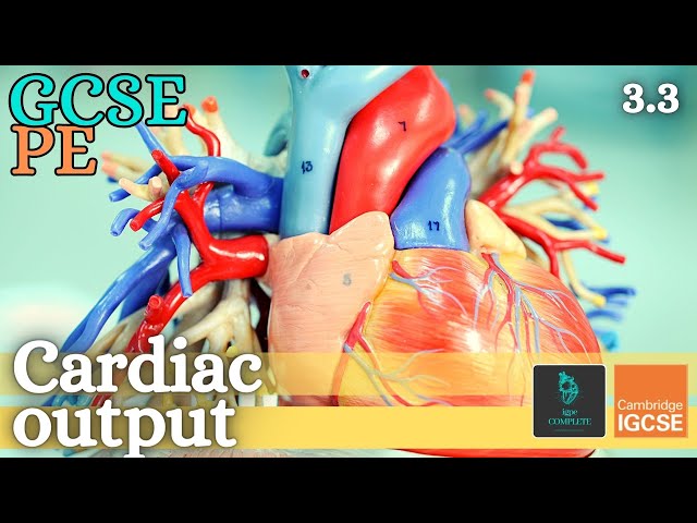 GCSE PE - CARDIAC OUTPUT & STROKE VOLUME - Anatomy and Physiology (Circulatory System - 3.3)