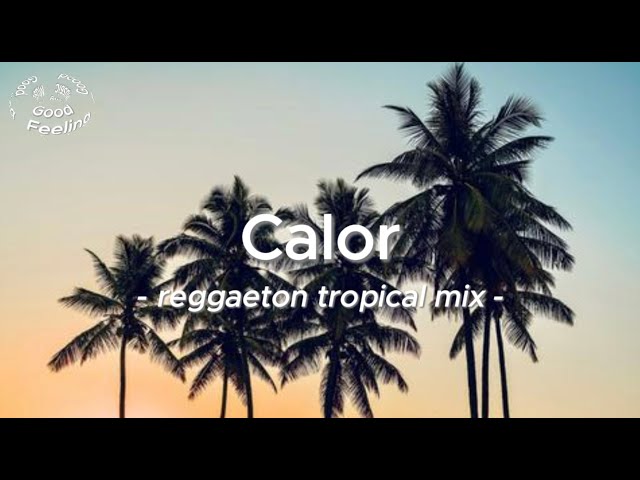 【Reggaeton】Reggaeton Tropical Mix - Calor （Lyrics）