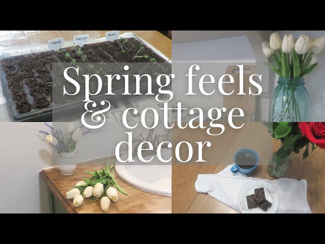 Rainy day of Homemaking | Adding Spring touches to the cottage, seed starting & sourdough brownies