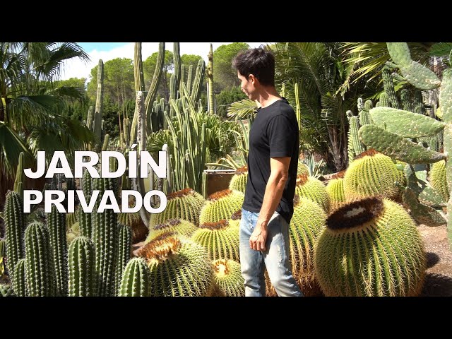 🌵 Tour por un increíble JARDIN PRIVADO de CACTUS 🌵