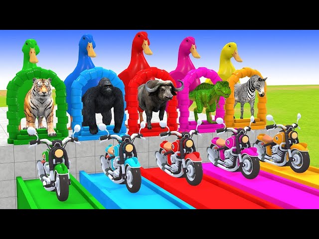 Long Slide Game With Elephant Gorilla Buffalo Hippopotamus Tiger - 3d Animal Game - Funny 3d Animals