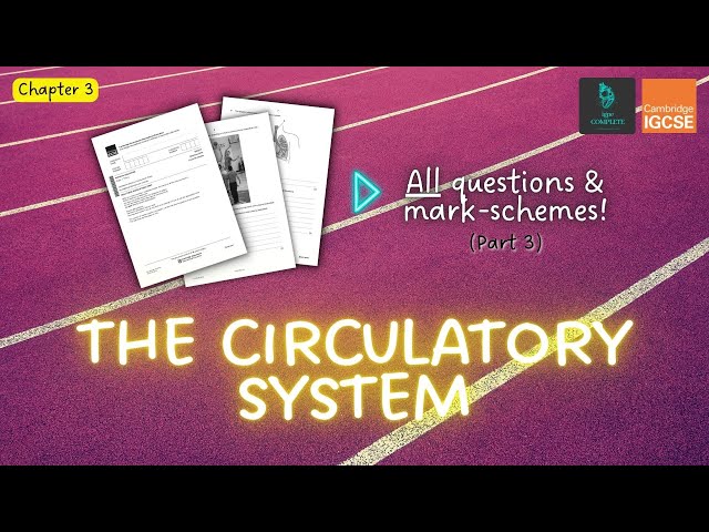 QUESTIONS, A* ANSWERS & MARK SCHEMES - Circulatory System (Ch 3) - IGCSE PE exam revision