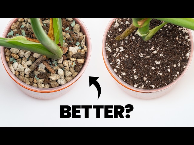 The Clever Reason Smart Gardeners Don't Use Soil