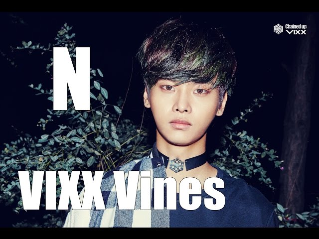 VIXX Vines - N