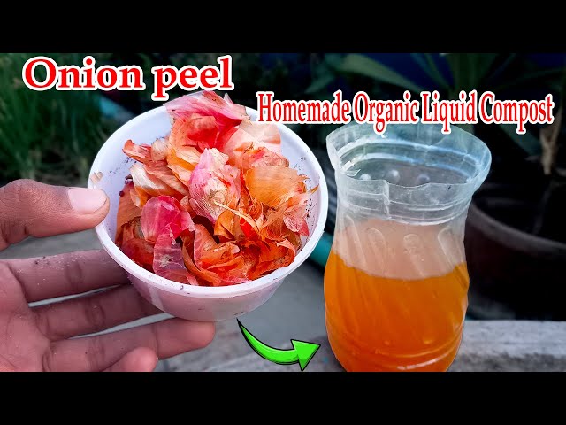 How to make home made compost for plant || Best & easy method