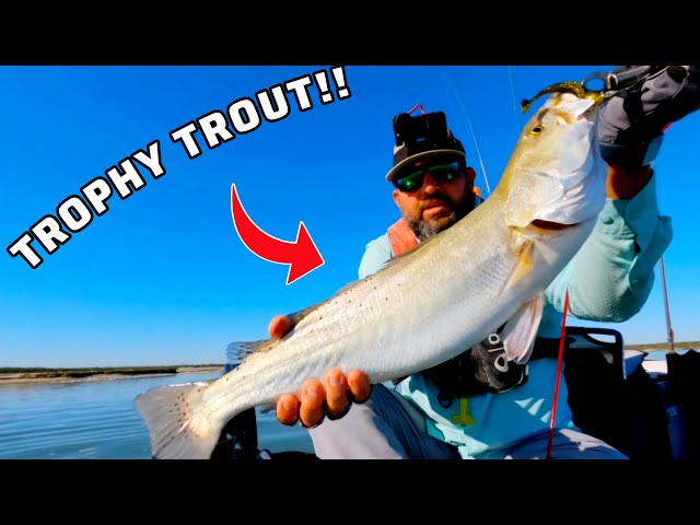 Catching TROPHY Speckled Trout on THIS lure!!