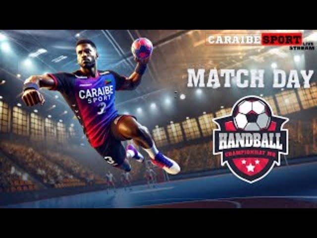 Handball H: GAULOISE  VSCLUB SPORT