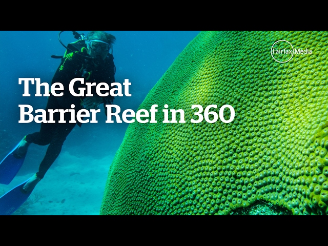 Saving the Great Barrier Reef