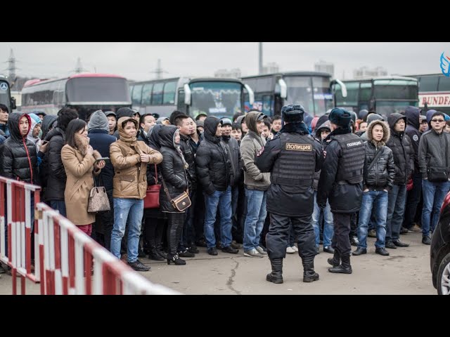 МОСКВА ТАШКЕНТ АВТОБУС