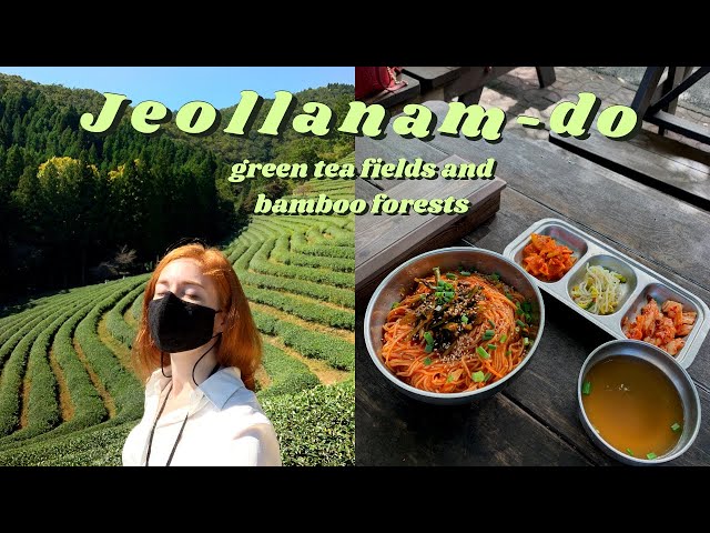 Life in Korea 🍵  Green Tea Fields and Bamboo Forests | Boseong and Damyang VLOG