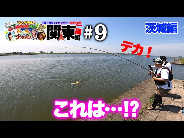 霞ヶ浦でとり肝大量投下！食いついた巨大外来種とは…！？【47都道府県の旅 ファイナル（関東編）#9】