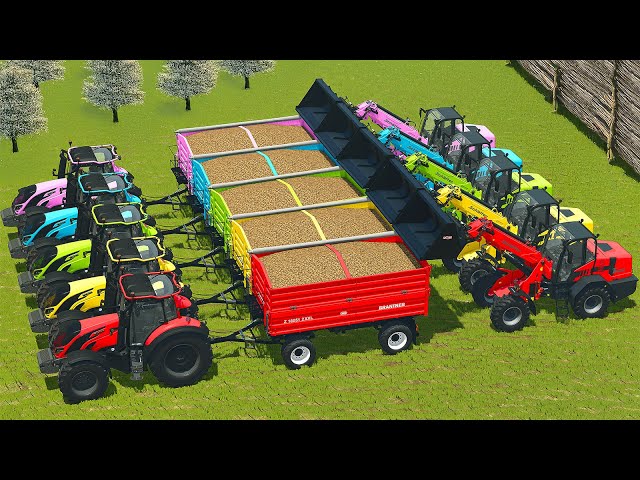 HARVESTING AND TRANSPORTING POTATOES WITH VALTRA TRACTORS - Farming Simulator 25