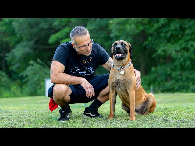 On the road to rescue: Doban finds a loving home in Canada