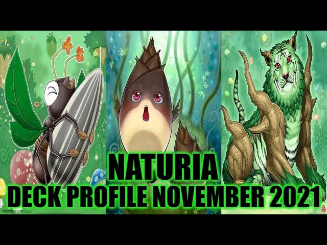 NATURIA DECK PROFILE (NOVEMBER 2021) YUGIOH!