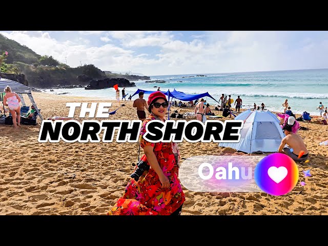 4 Best Things to Do in North Shore Oahu!