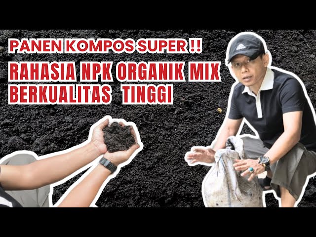 Panen Kompos Super‼️ Rahasia NPK Organik MIX Berkualitas Tinggi