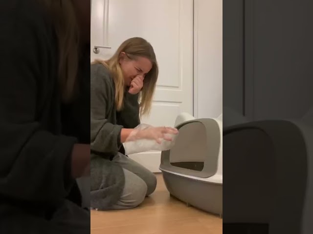 Super Funny Cat Laughing While Owner Changes Litter