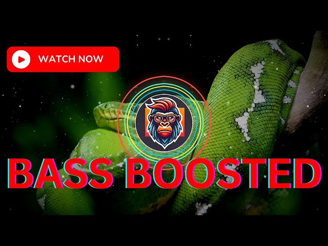 TT Mori - Archie Tarzy (Bass Boosted) visualizer