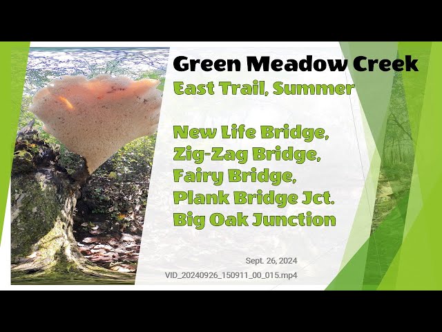 Green Meadow Creek, New Life Bridge to Big oak Jct. via fairy Bridge