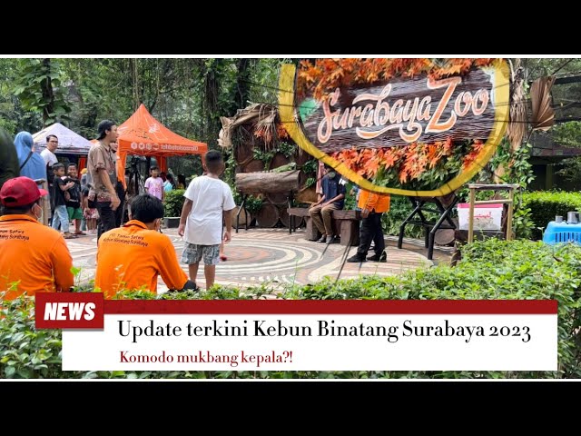 Kebun Binatang Surabaya - Kondisi terkini?!