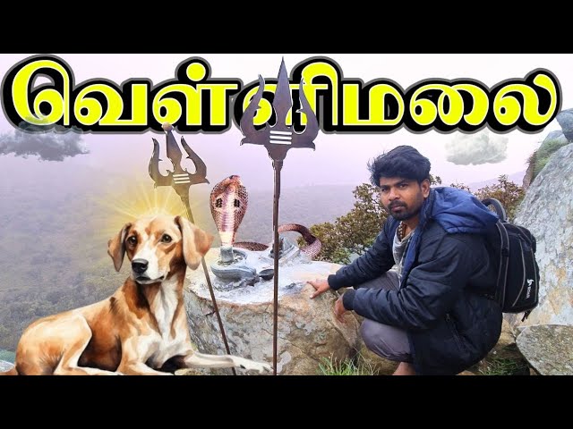 😱நாய்கள் ரூபத்தில் சித்தர்கள் காக்கும் சிவன்😨🙏 | வெள்ளிமலை | Vellimalai Sivan Hill Trekking-Dindigul