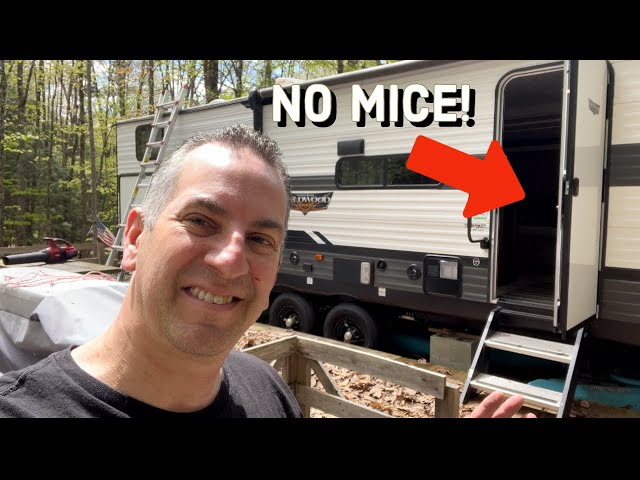 Have Mice In Your RV? Mouse Free Product Review Update!