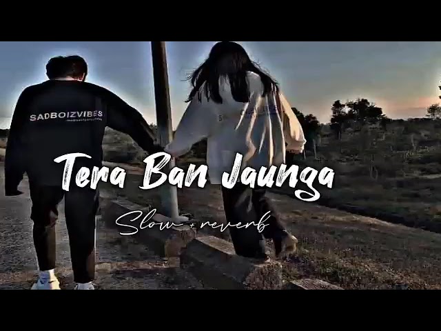 Tera ban jauga ( SLOWE REVERD ) Lofi music