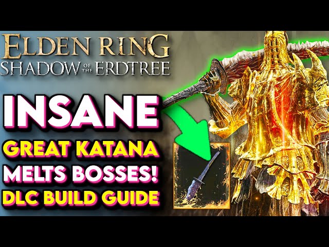 BEST Great Katana In Elden Ring! - Dragon-Hunter's Great Katana Build (Shadow of the Erdtree Build)