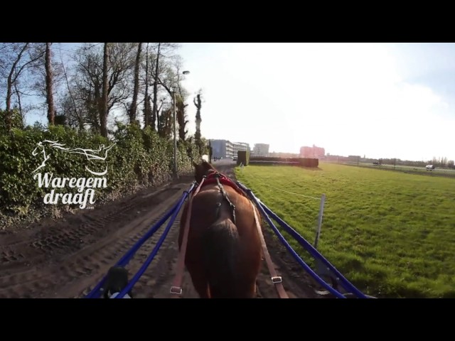 Waregem draaft 360° jockey view