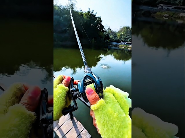 Girl's Epic BASS FISHING – Unbelievable SPINNING Rod MASTERY