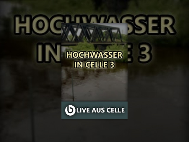 LIVE AUS CELLE | HOCHWASSER IN CELLE 3 | EIN LAGEBERICHT